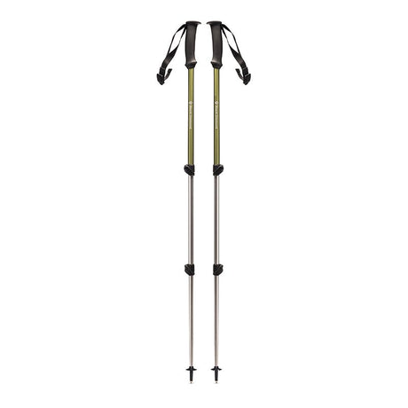 Trail Explorer 3 Vandrestave - Grøn - Seniorshop